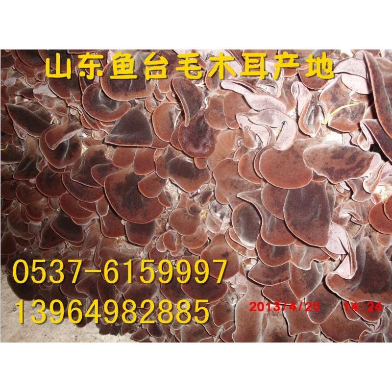 干木耳批發(fā)