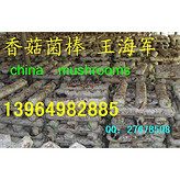 干香菇，小大香菇，好香菇批發(fā)，產(chǎn)地香菇批發(fā)，香菇銷售直銷香菇